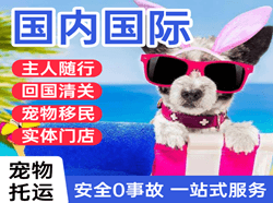 西郊机场快运国际宠物托运 【国